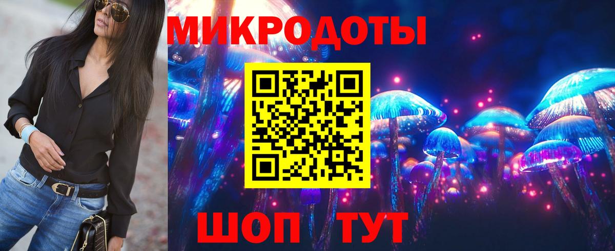 Псилоцибиновые грибы Psilocybine cubensis Кашира