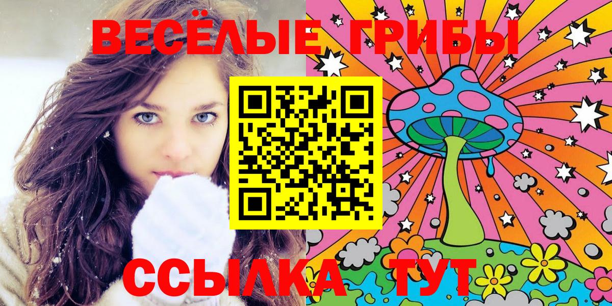 Кашира  Галлюциногенные грибы прущие грибы  Вход с VPN  закладки  Галлюциногенные грибы MAGIC MUSHROOMS 